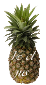 16 cl jus d'ananas